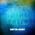 David has released the video for single 'Back In The World.