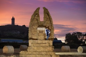 ‘MAKE HAY WHILE THE SUN SHINES’