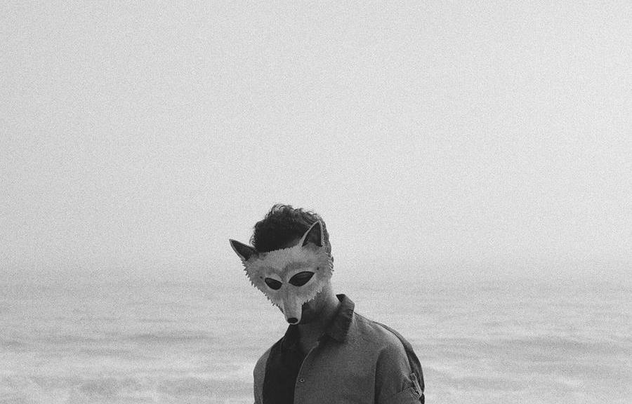 NEW Wolf Colony VIDEO FOR 'BEAUTY' SHOT ENTIRELY BY A FAN