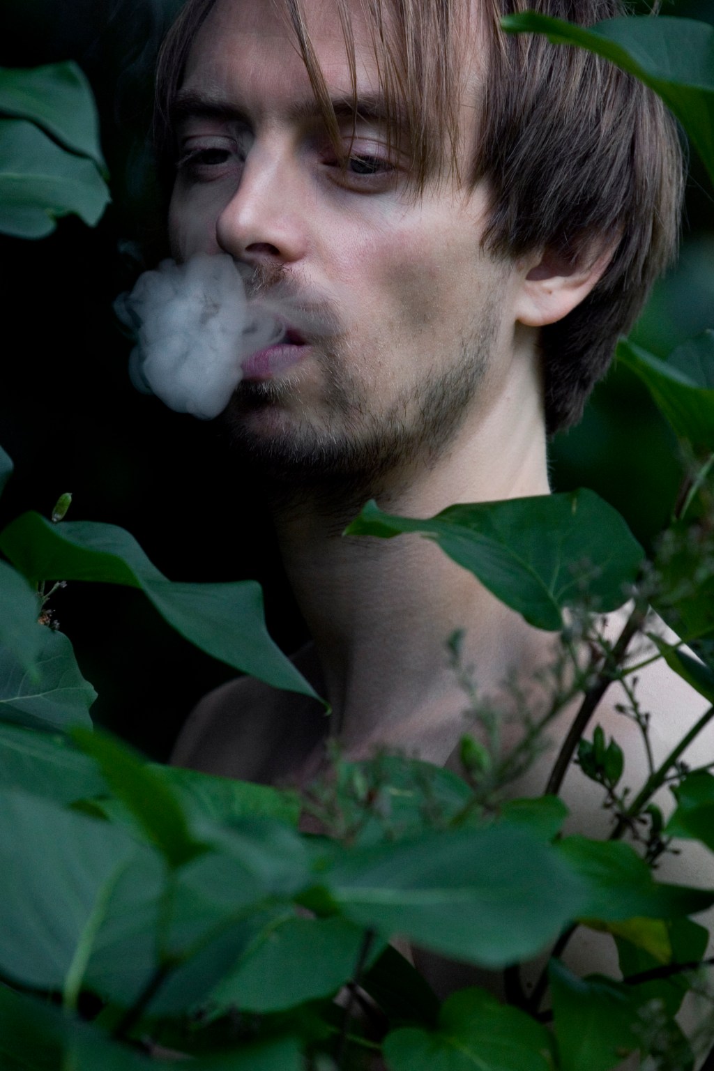 Music | Listen: ‘Narcissus’ by Bror&nbsp;Forsgren