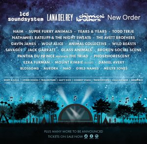 Electric Picnic 2016