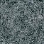 Bleeding Heart Pigeons - “Is”