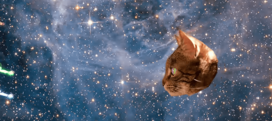 'Everybody Wants To Be Famous' - Superorganism