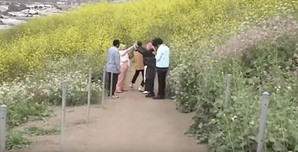 RobMoro TV | Yuno – ‘Sunlight’