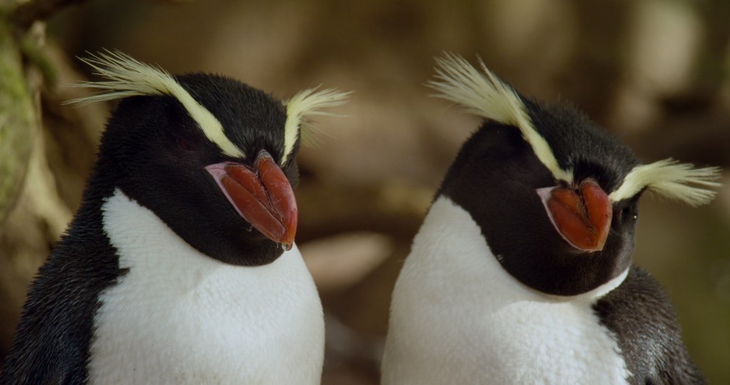 RobMoro TV | James Blake – ‘I’ll Come&nbsp;Too’