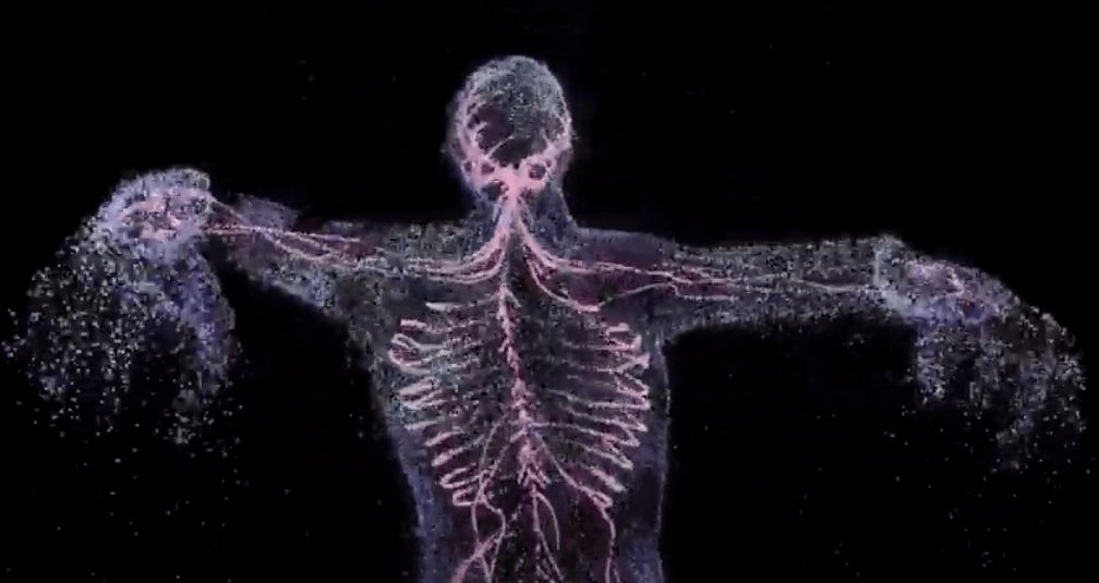 The Blizzards - 'Pound the Pavement'