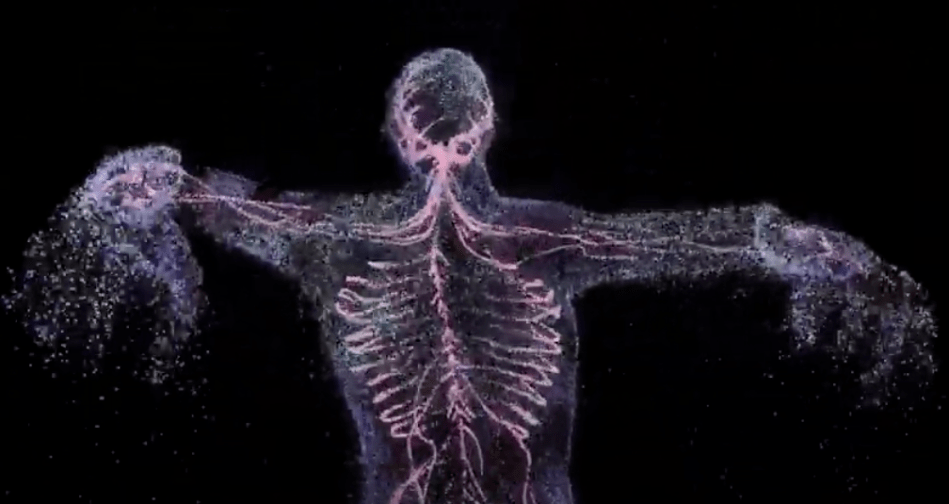 The Blizzards - 'Pound the Pavement'