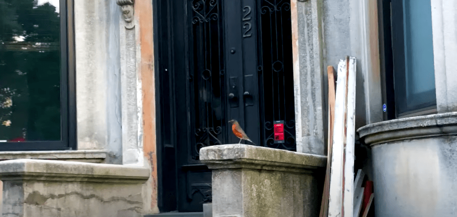 Will Butler - 'Surrender'